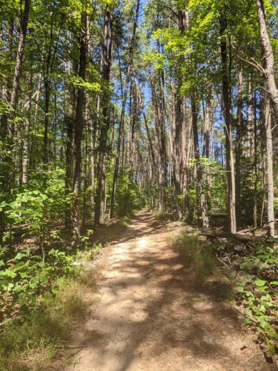 Pilot Mountain State Park - Corridor Trail - Pinnacle, NC