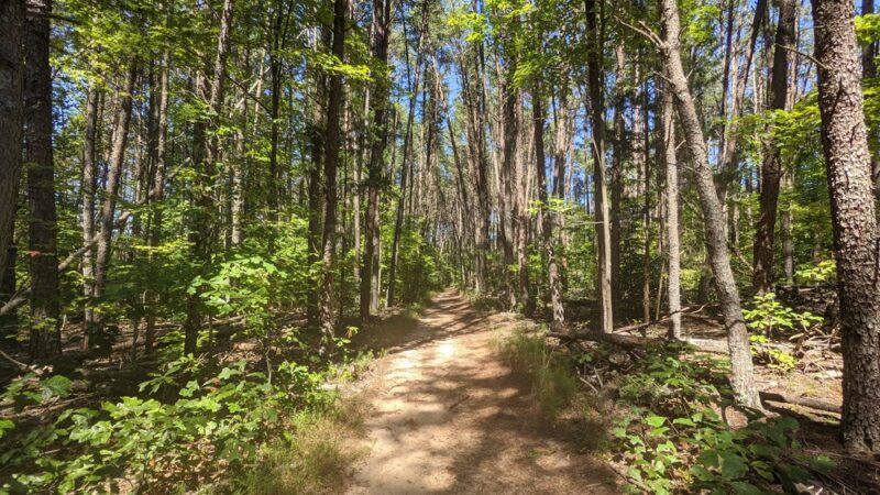 Pilot Mountain State Park - Corridor Trail - Pinnacle, NC