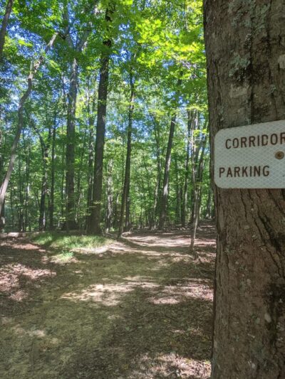 Pilot Mountain State Park - Corridor Trail - Pinnacle, NC