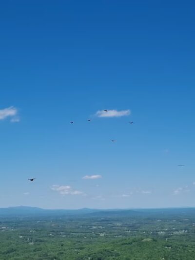 Pilot Mountain State Park parking - Pinnacle, NC