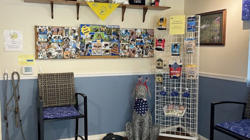 Bedminster Canine Kamp - Pipersville, PA