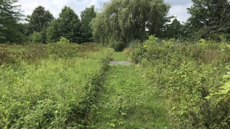 Jennifer Schweitzer Park - Pipersville, PA