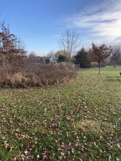 Jennifer Schweitzer Park - Pipersville, PA