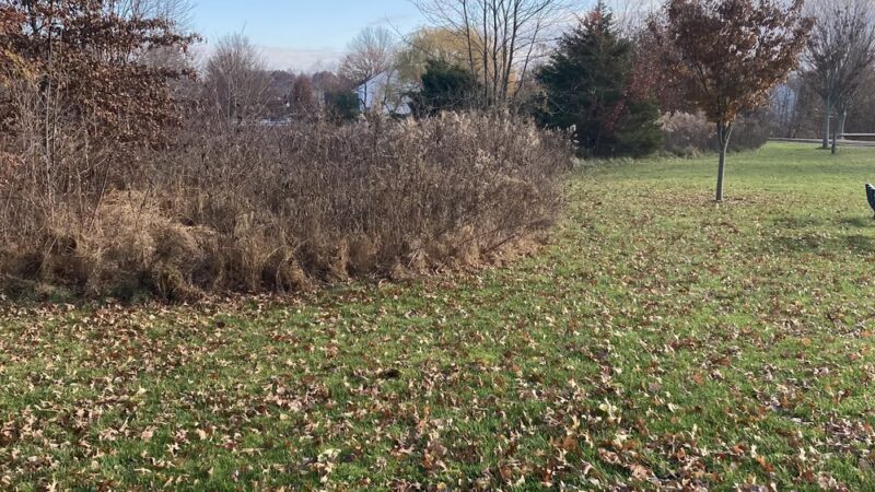 Jennifer Schweitzer Park - Pipersville, PA