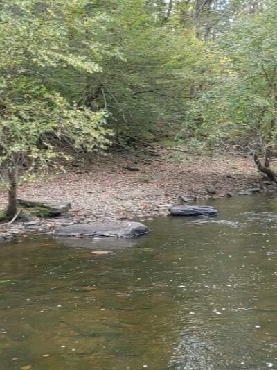 Ralph Stover State Park - Pipersville, PA