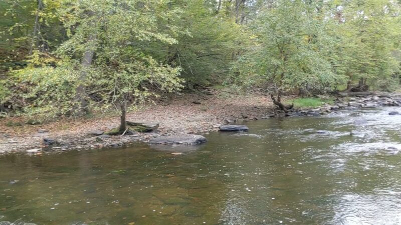 Ralph Stover State Park - Pipersville, PA