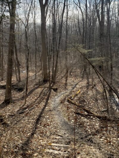 Ralph Stover State Park - Pipersville, PA