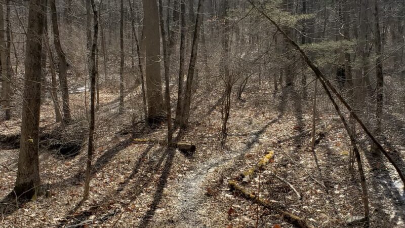 Ralph Stover State Park - Pipersville, PA