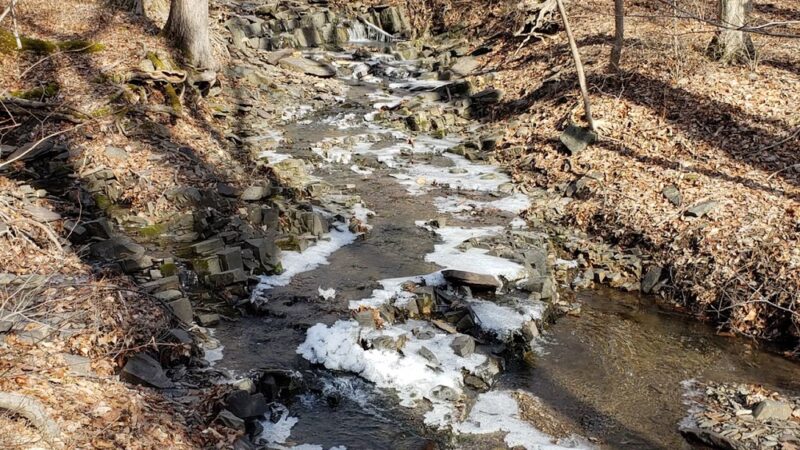 Ralph Stover State Park - Pipersville, PA