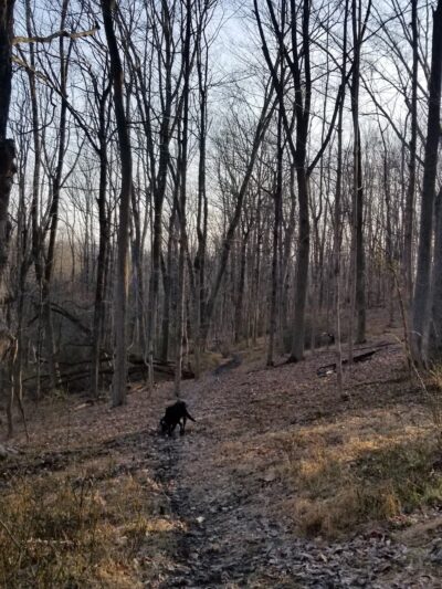 Ralph Stover State Park - Pipersville, PA