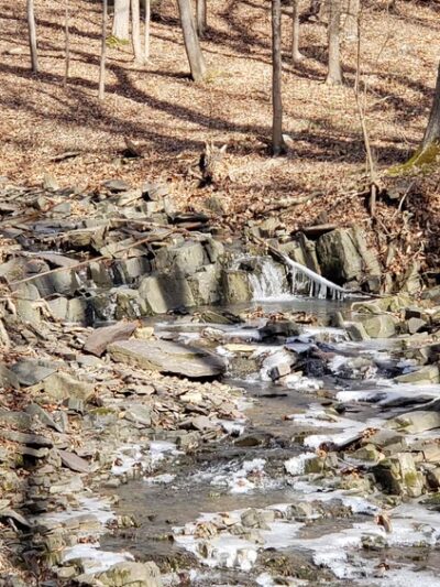 Ralph Stover State Park - Pipersville, PA