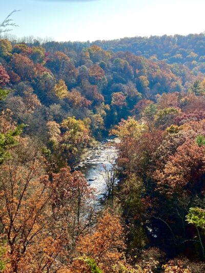 Saint Rocco's Treats - Pipersville, PA