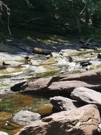 Tohickon Valley Park - Pipersville, PA