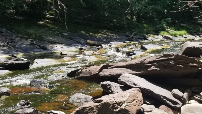 Tohickon Valley Park - Pipersville, PA