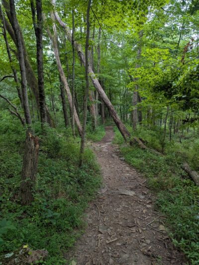 Tohickon Valley Park - Pipersville, PA
