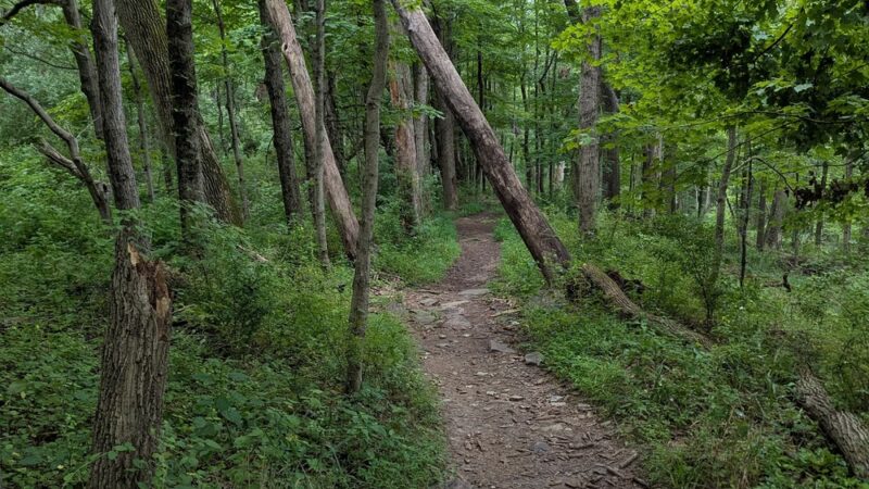 Tohickon Valley Park - Pipersville, PA