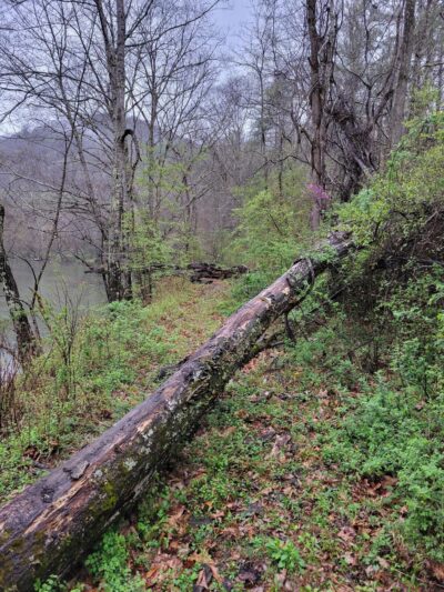 Bluestone Recreation Area - Pipestem, WV