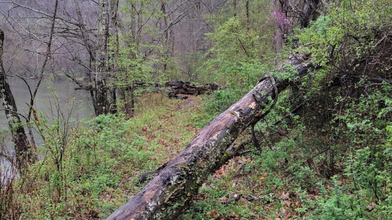 Bluestone Recreation Area - Pipestem, WV