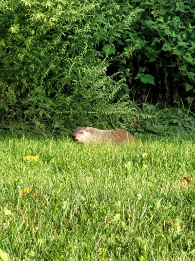 Alexander Park - Piscataway, NJ