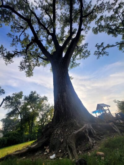 Alexander Park - Piscataway, NJ