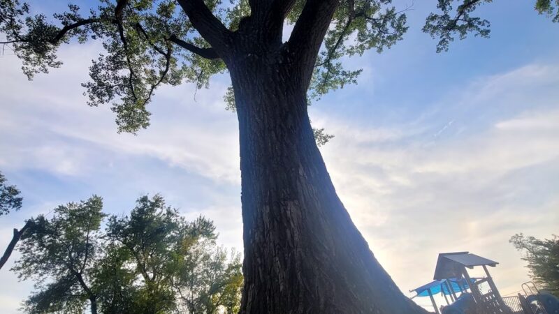 Alexander Park - Piscataway, NJ