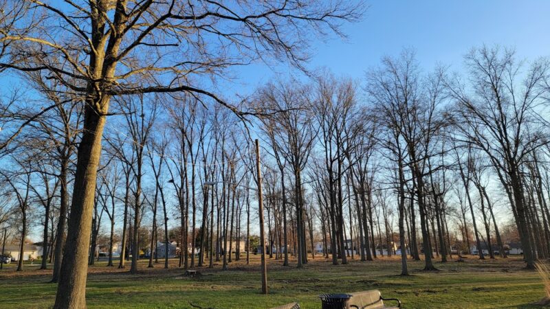 Day Park - Piscataway, NJ