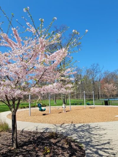 Day Park - Piscataway, NJ