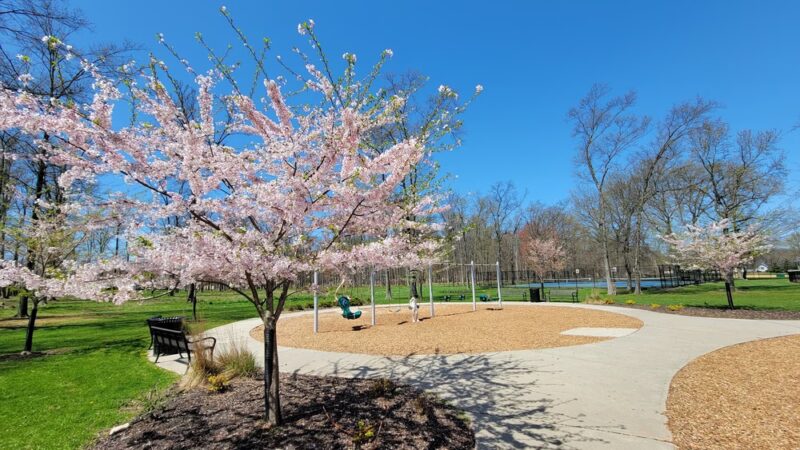 Day Park - Piscataway, NJ