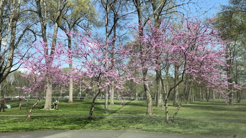 Johnson Park Grove 1 - Piscataway, NJ