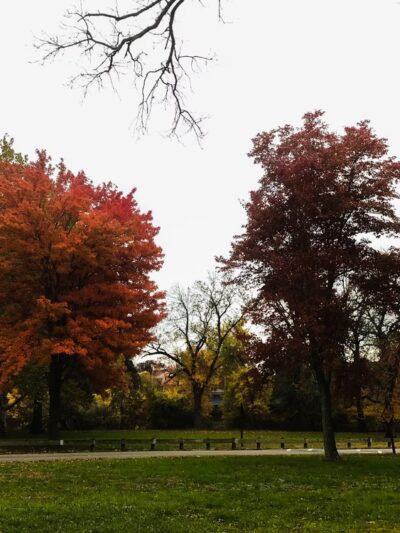 Johnson Park - Grove 4 - Piscataway, NJ