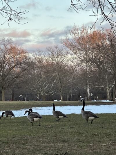 Johnson Park Health Trail - Piscataway, NJ
