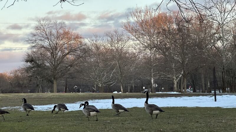 Johnson Park Health Trail - Piscataway, NJ