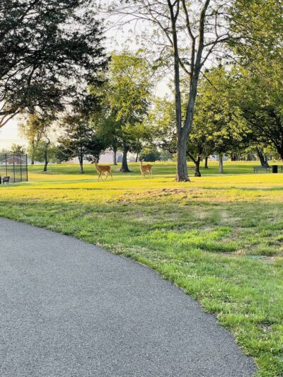 Perrine Park - Piscataway, NJ