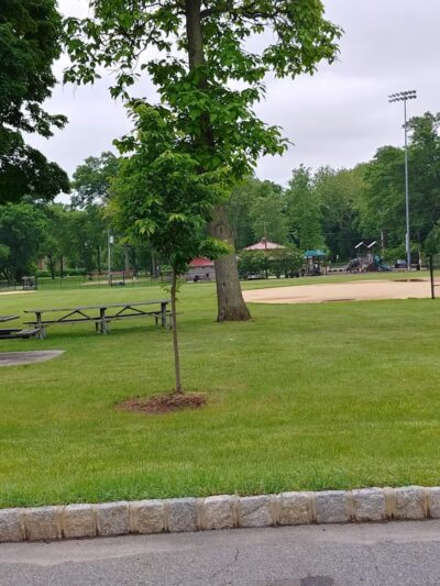 Riverside Park - Piscataway, NJ