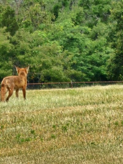 Kroeger Park - Piscataway, NJ