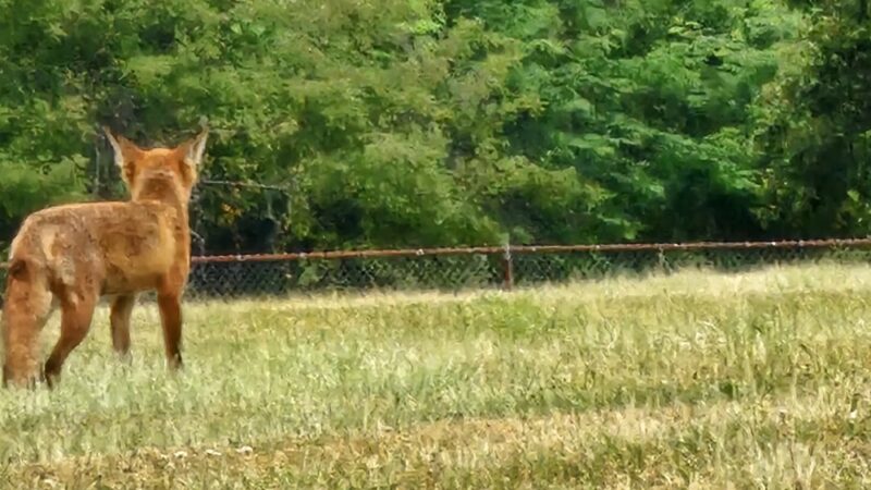Kroeger Park - Piscataway, NJ