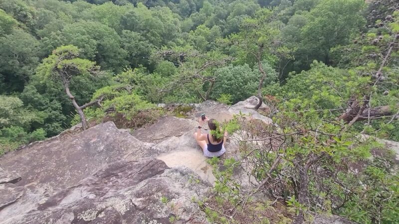 Pisgah Gorge Falls - Pisgah, AL