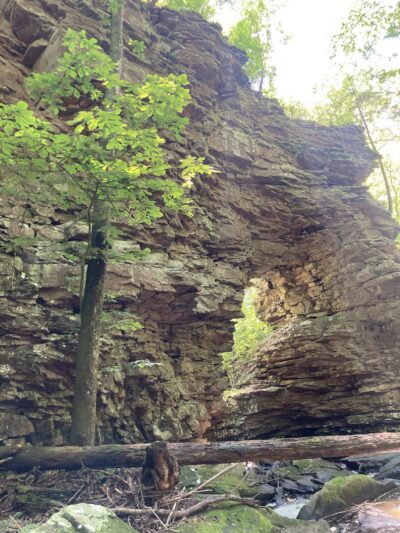 Pisgah Gorge Falls - Pisgah, AL