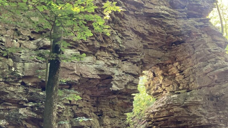 Pisgah Gorge Falls - Pisgah, AL