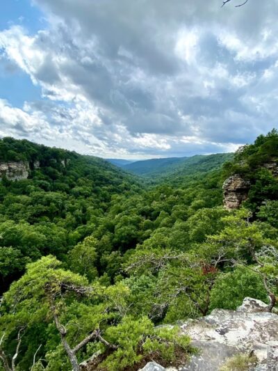 Pisgah Gorge Falls - Pisgah, AL