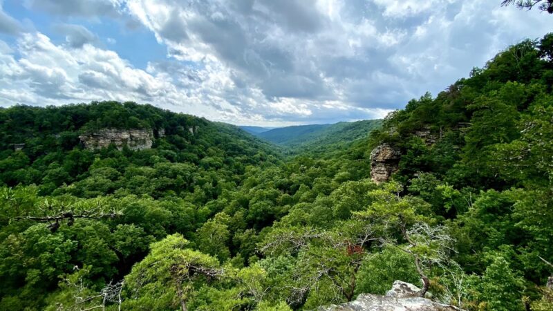Pisgah Gorge Falls - Pisgah, AL