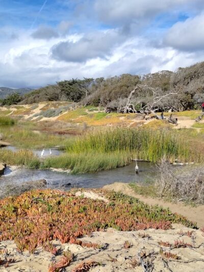 Beach Foot Trail - Pismo Beach, CA