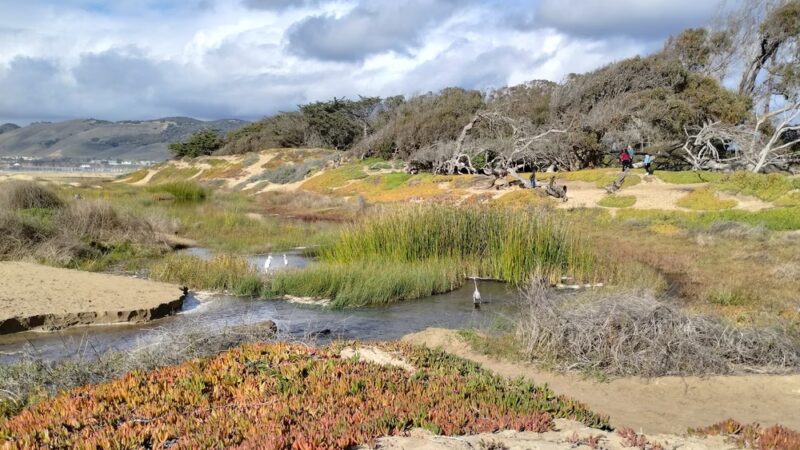 Beach Foot Trail - Pismo Beach, CA