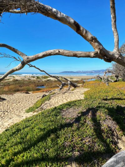 Beach Foot Trail - Pismo Beach, CA