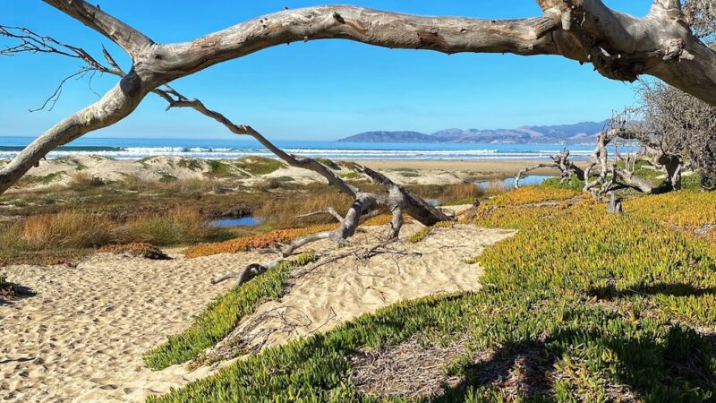 Beach Foot Trail - Pismo Beach, CA