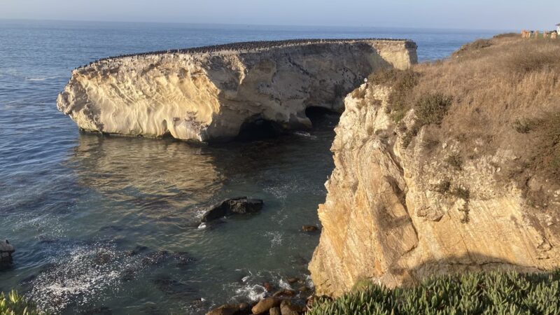 Dinosaur Caves Park - Pismo Beach, CA