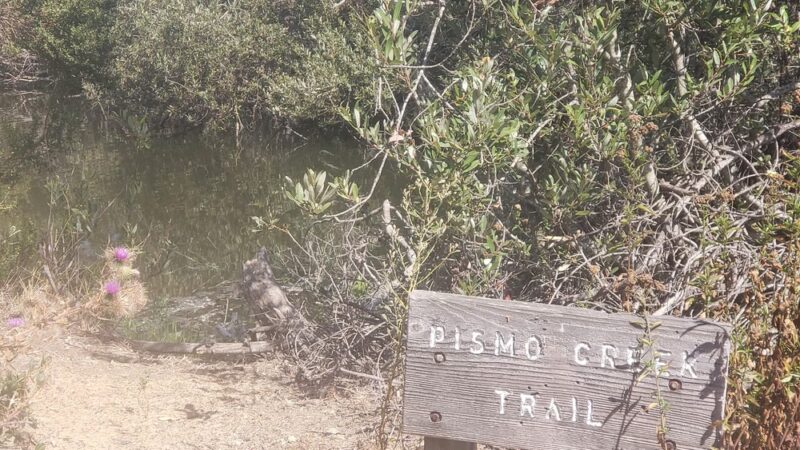 Ira Lease Park - Pismo Beach, CA