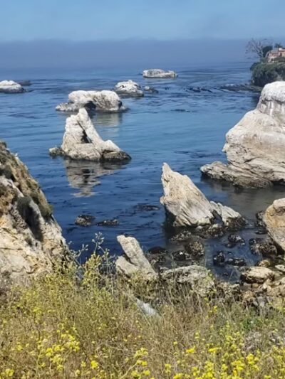 Margo Dodd Park - Pismo Beach, CA