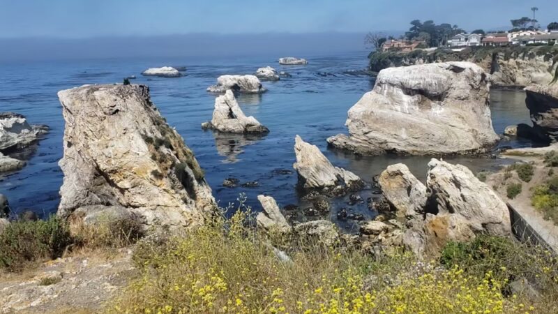 Margo Dodd Park - Pismo Beach, CA
