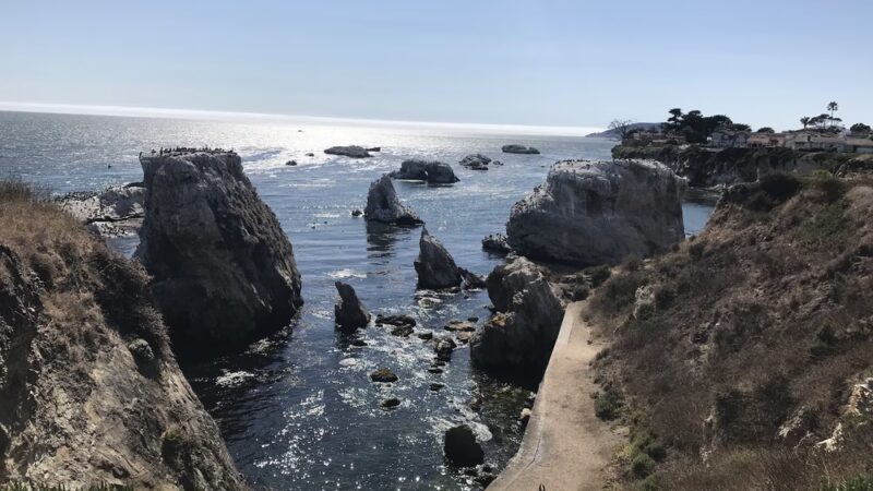 Margo Dodd Park - Pismo Beach, CA
